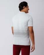 Camiseta-polo-gris-Harry-hombre-CHT-2